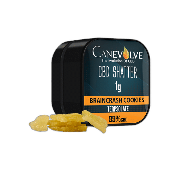 Buy Now Canevolve 99% CBD Shatter - 1g