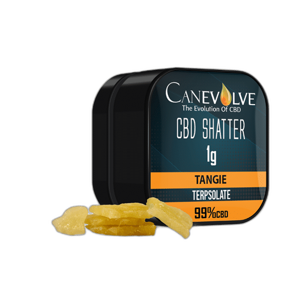 Buy Now Canevolve 99% CBD Shatter - 1g