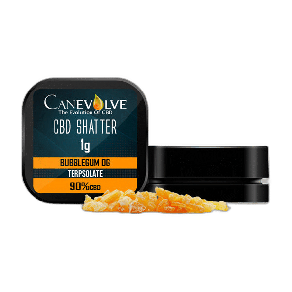 Buy Now Canevolve  CBD Shatter 1g