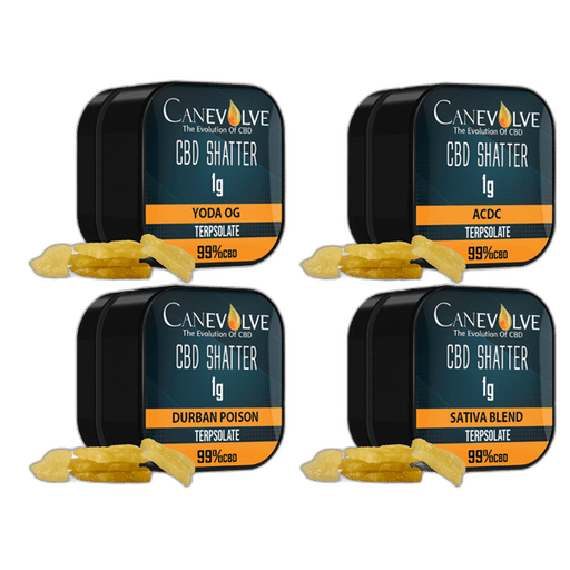 Buy Now Canevolve 99% CBD Shatter - 1g