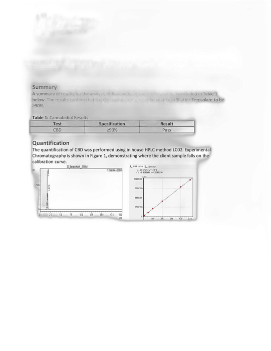 Discount Canevolve  CBD Shatter 1g